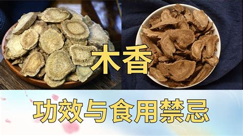 木香的功效與禁忌|木香的功效与作用、禁忌和食用方法